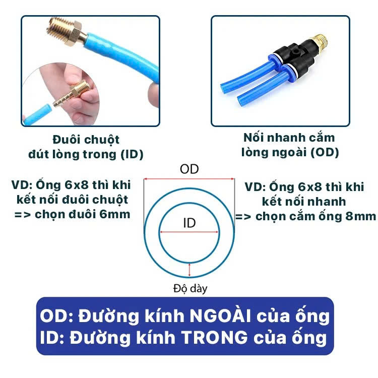 bang-od-id-tai-song-toan Búp 13 Ren Trong Ống 6 Đuôi Chuột / Hose Tail Connectors Thread Female - Đồng Thau